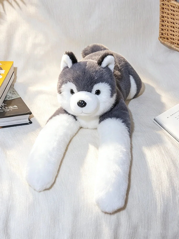 Peluche lestée Husky