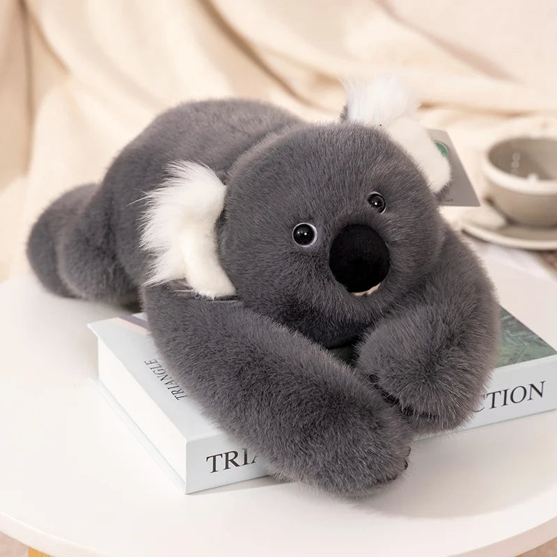 Koala 40-45cm
